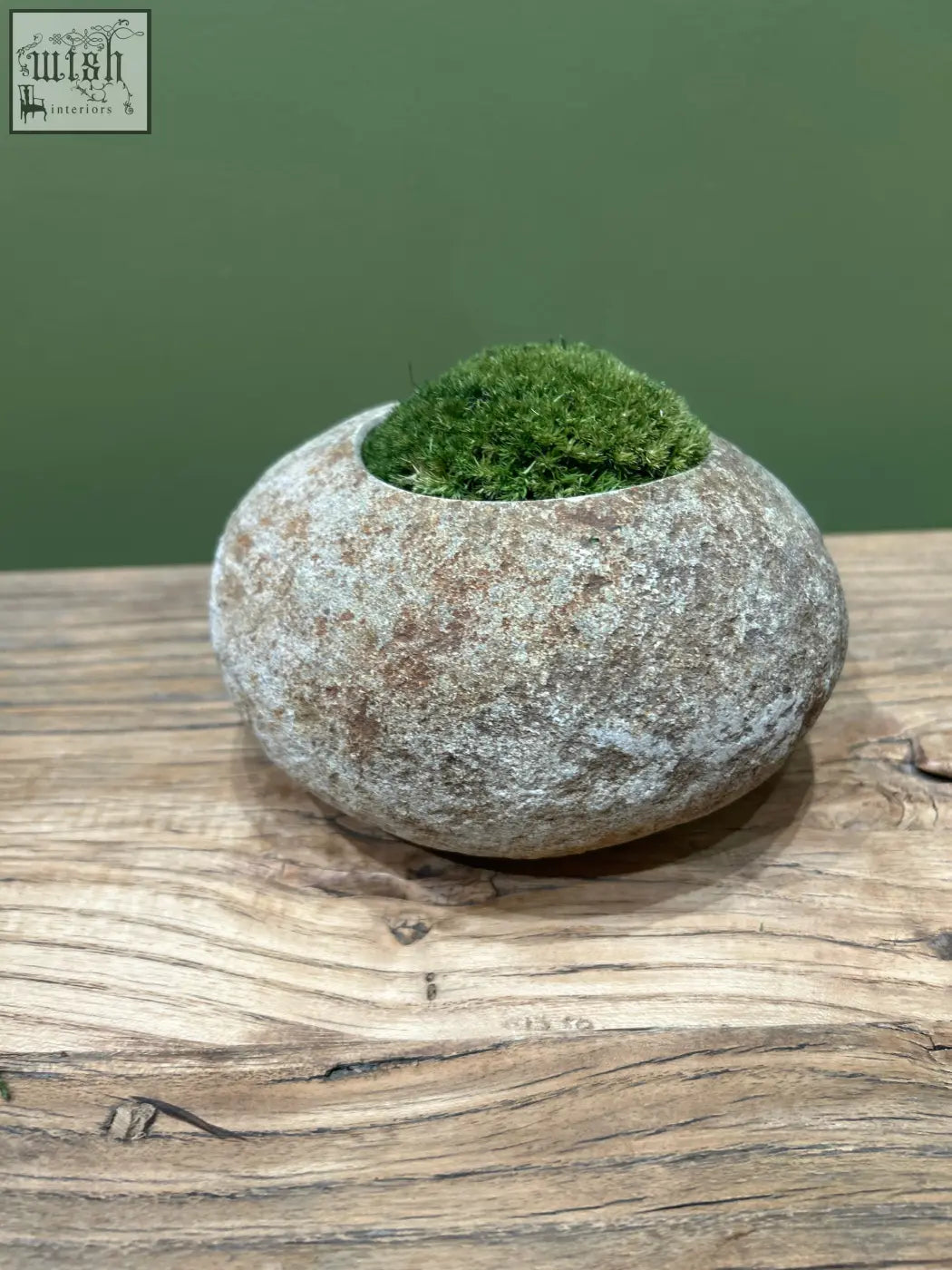 A smooth indo riverstone planter with a weathered gray brown surface planted with vibrant preserved moss