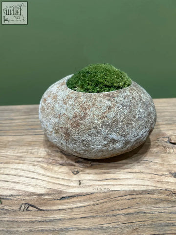 A smooth indo riverstone planter with a weathered gray brown surface planted with vibrant preserved moss