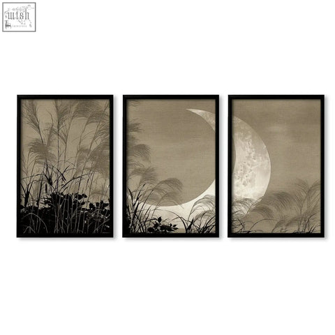 Set of 3 living room canvas art with japandi crescent moon and pampas grass silhouettes in sepia tones