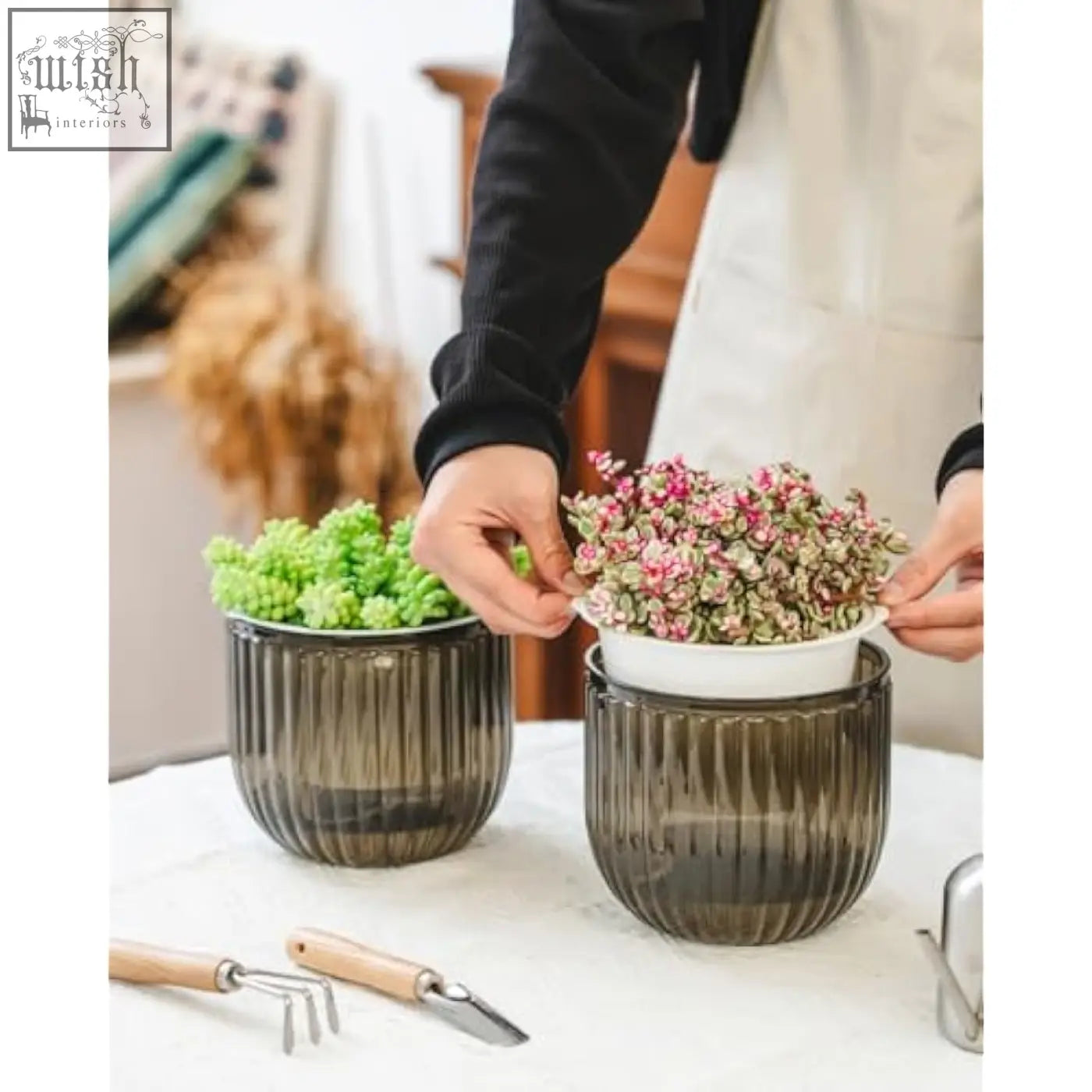 Dark gray ribbed glass outer pots with white ceramic inserts and visible water level for easy self watering indoor use