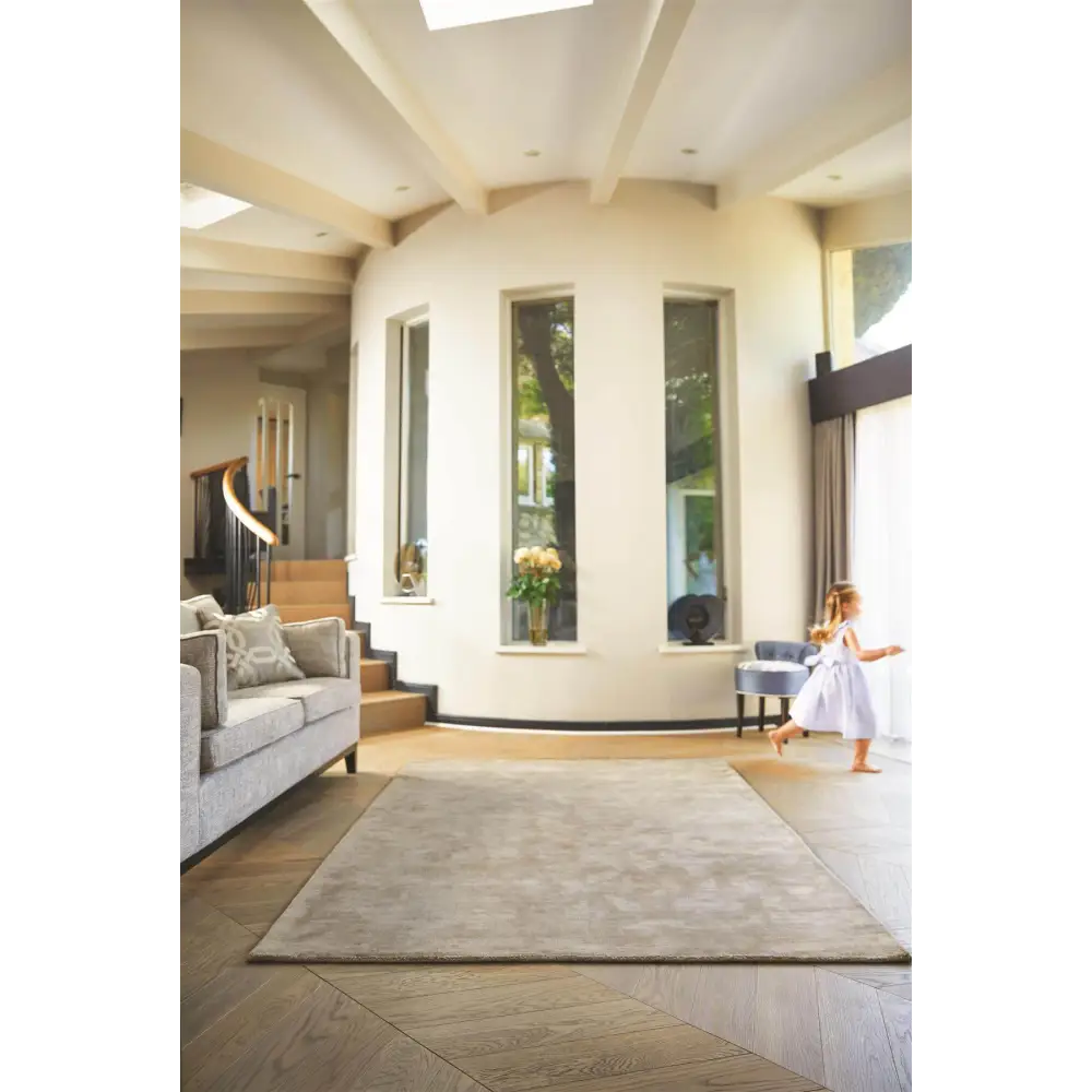 Karma Mink Solid Luxury Viscose Rug - Rugs