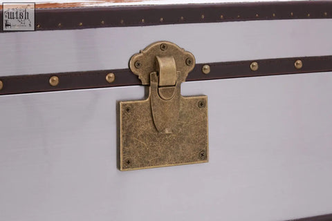 Antique brass lock with ornate design on white trunk of kensington townhouse brown and white cowhide cabinet