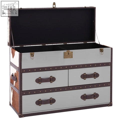 Kensington townhouse brown vintage-style cowhide cabinet trunk with gray and brown leather and brass hardware interior black
