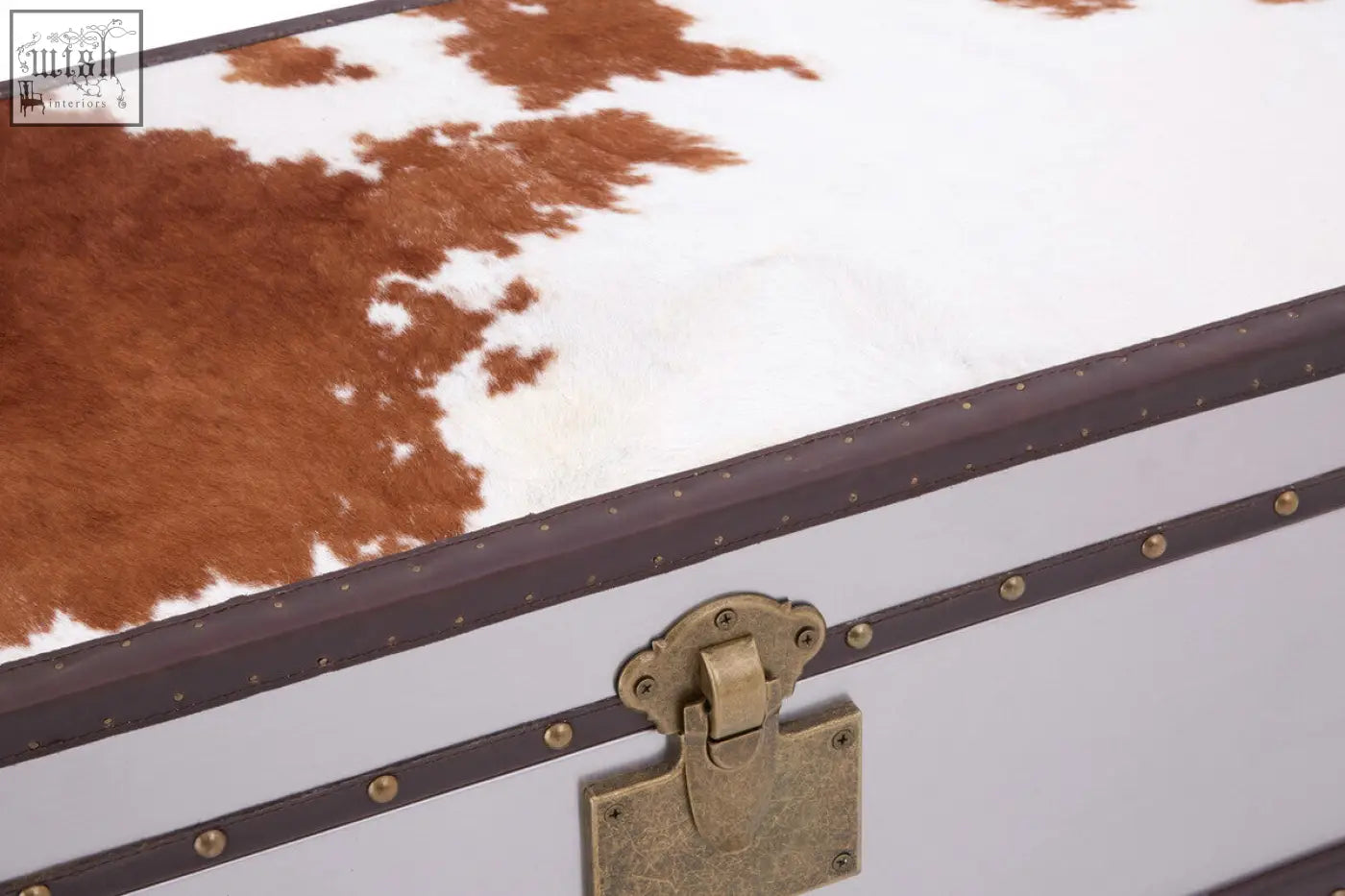 Kensington townhouse brown and white cowhide cabinet trunk with brass hardware and white cowhide trim