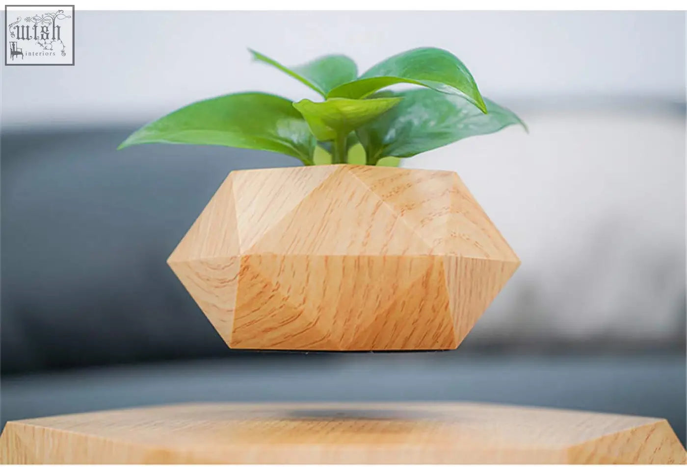 A floating geometric wooden flower pot with vibrant green leaves using maglev levitation technology for desk decor