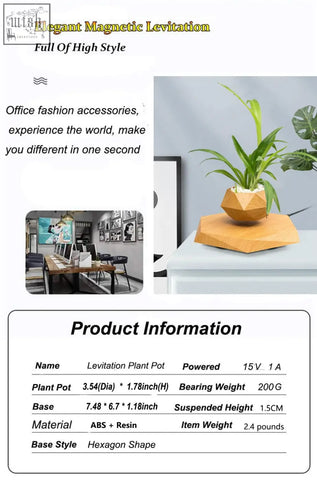 Geometric light wood-finish levitating flower pot with green foliage using maglev levitation technology for desk decor
