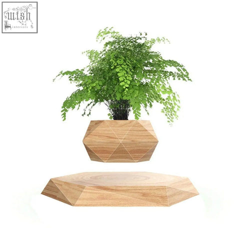 A wooden flower pot with maglev levitation technology floats holding green ferns for desk decoration