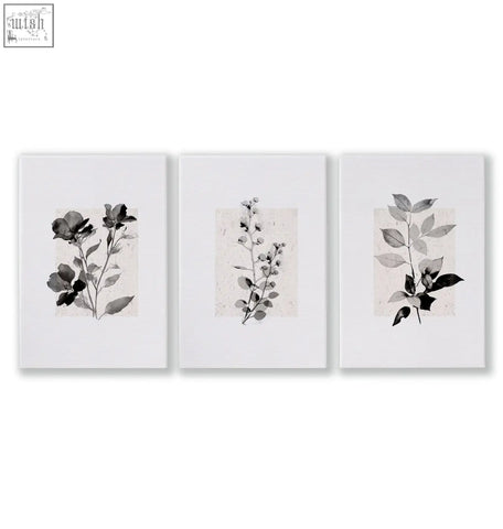 Set of three framed botanical prints with monochrome ink illustrations on textured paper perfect for kitchen art wall decor