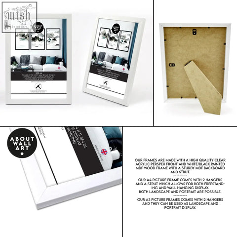 White a4 kitchen prints with white mdf wood frame and clear acrylic front featuring succulent plants wall art