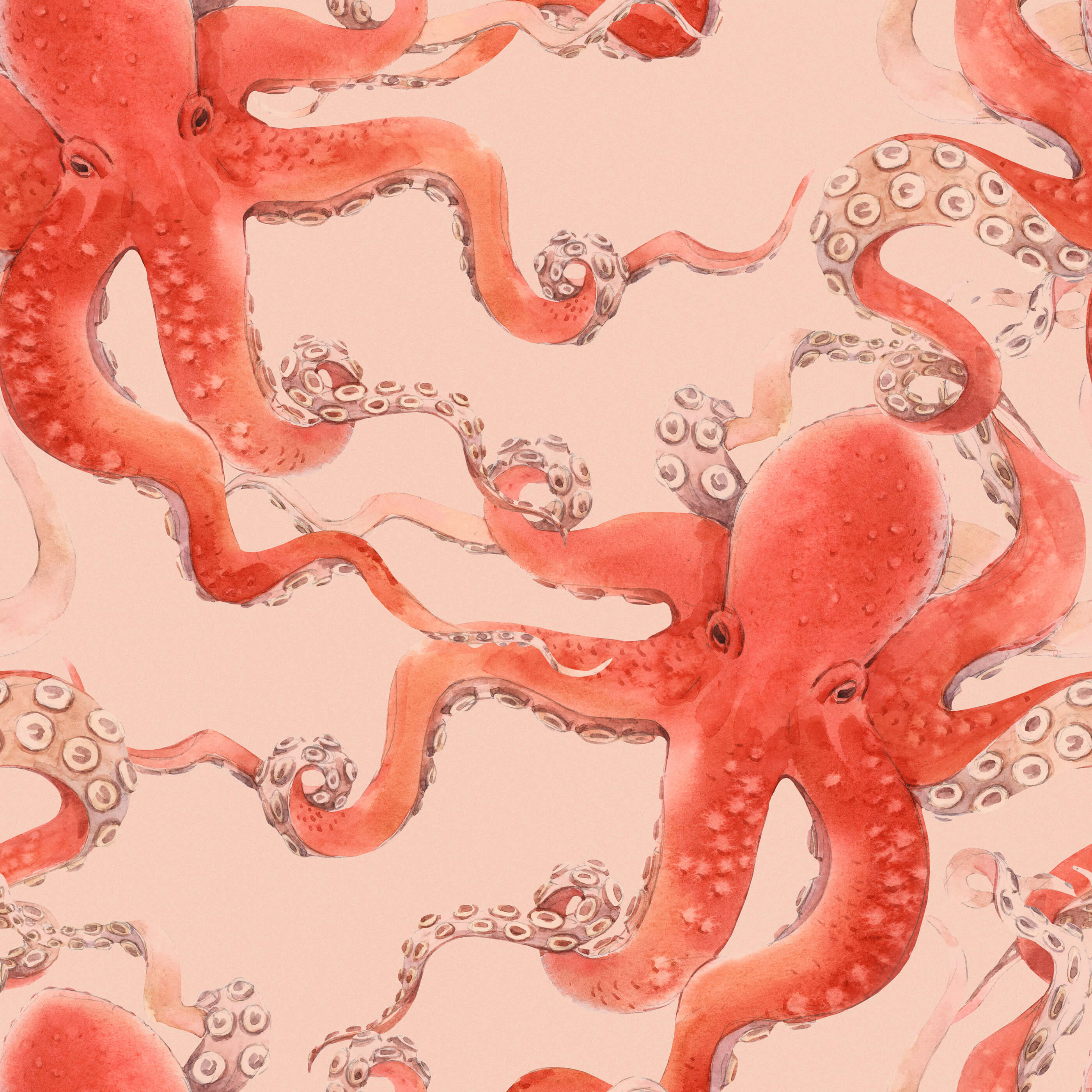 Watercolor-style red octopus wallpaper with detailed suction cups on a soft pink background for kos product