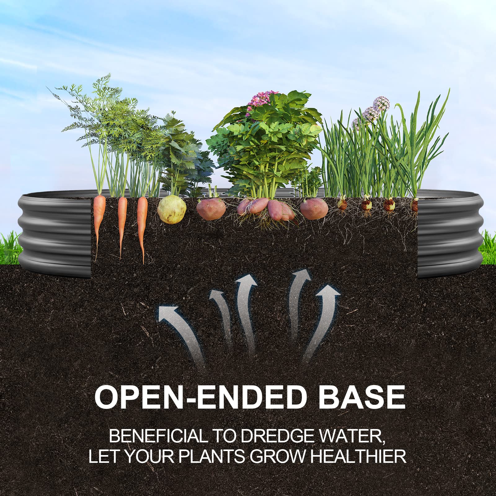 Black corrugated plastic raised garden bed with carrots potatoes onions parsley and chives for outdoor gardening