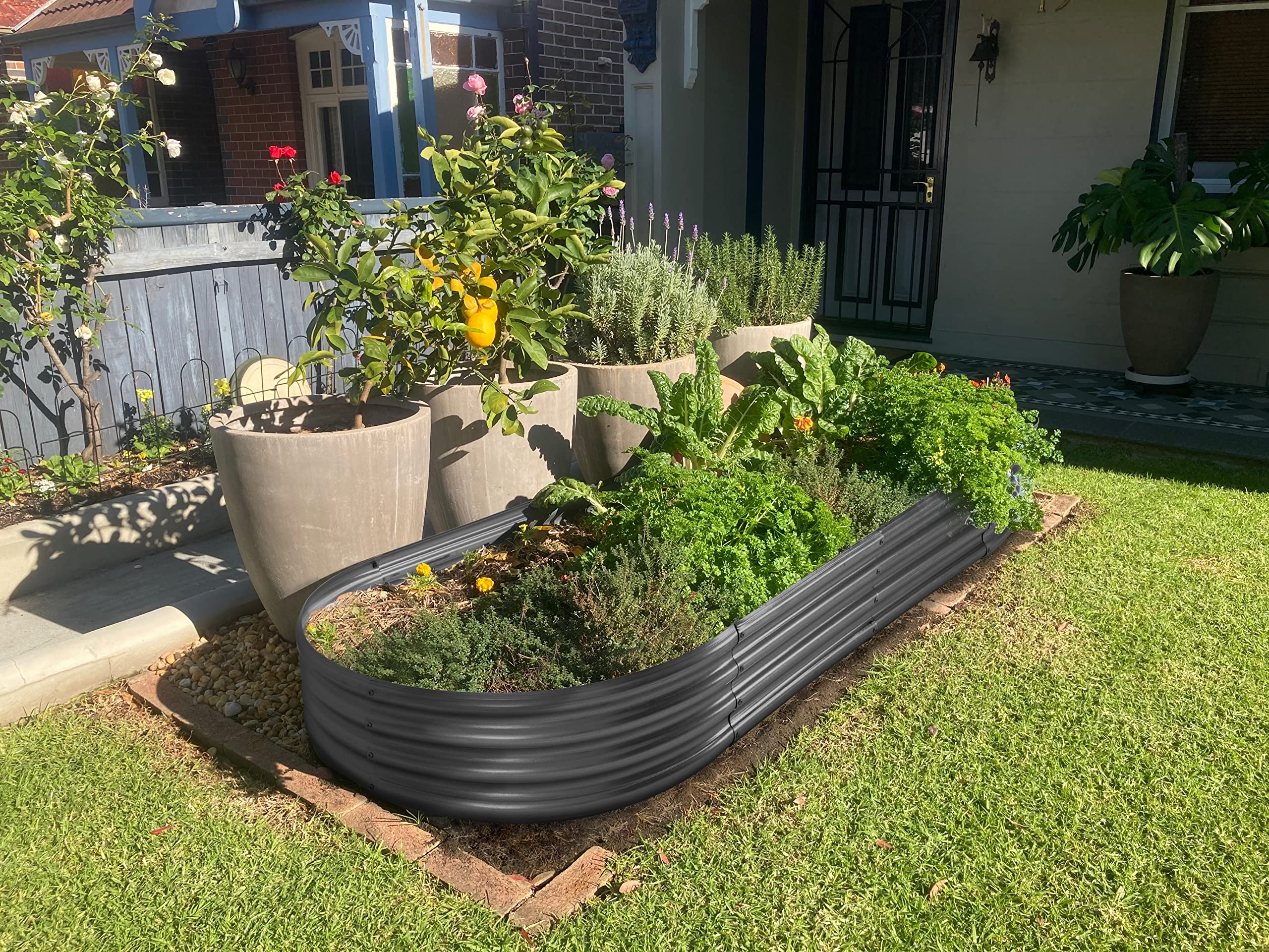 Black galvanized metal raised garden bed filled with lush green herbs for outdoor vegetable gardening