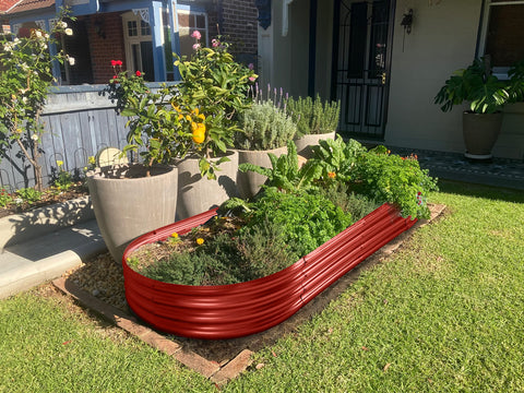 Red corrugated metal garden bed in land guard galvanized raised garden bed kit perfect for outdoor vegetable gardening