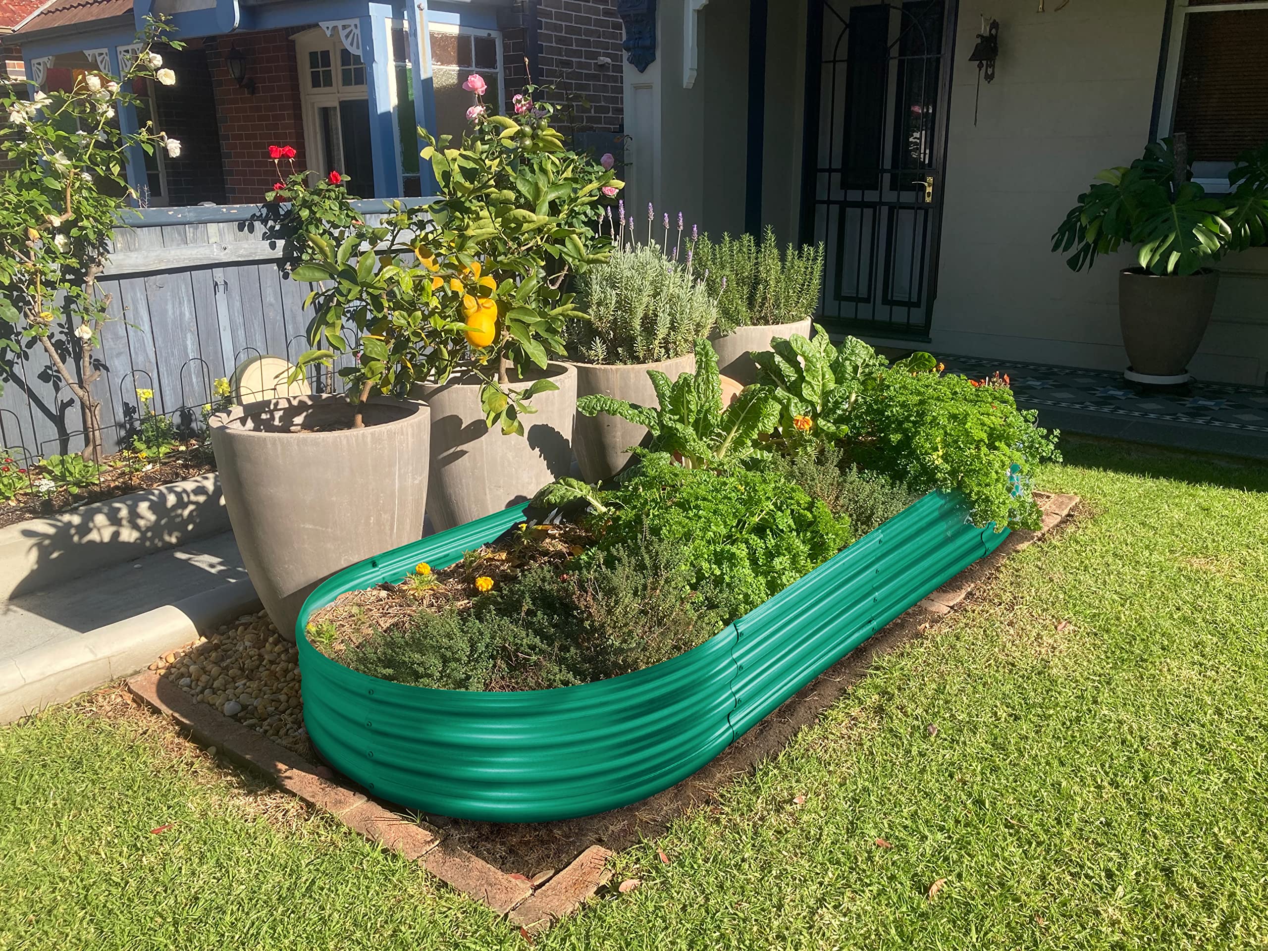 Teal galvanized metal raised garden bed filled with green herbs and yellow flowers from land guard outdoor planter kit