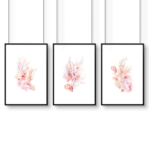 Large Coastal Wall Art | Set of 3 Seashells Wall art Prints