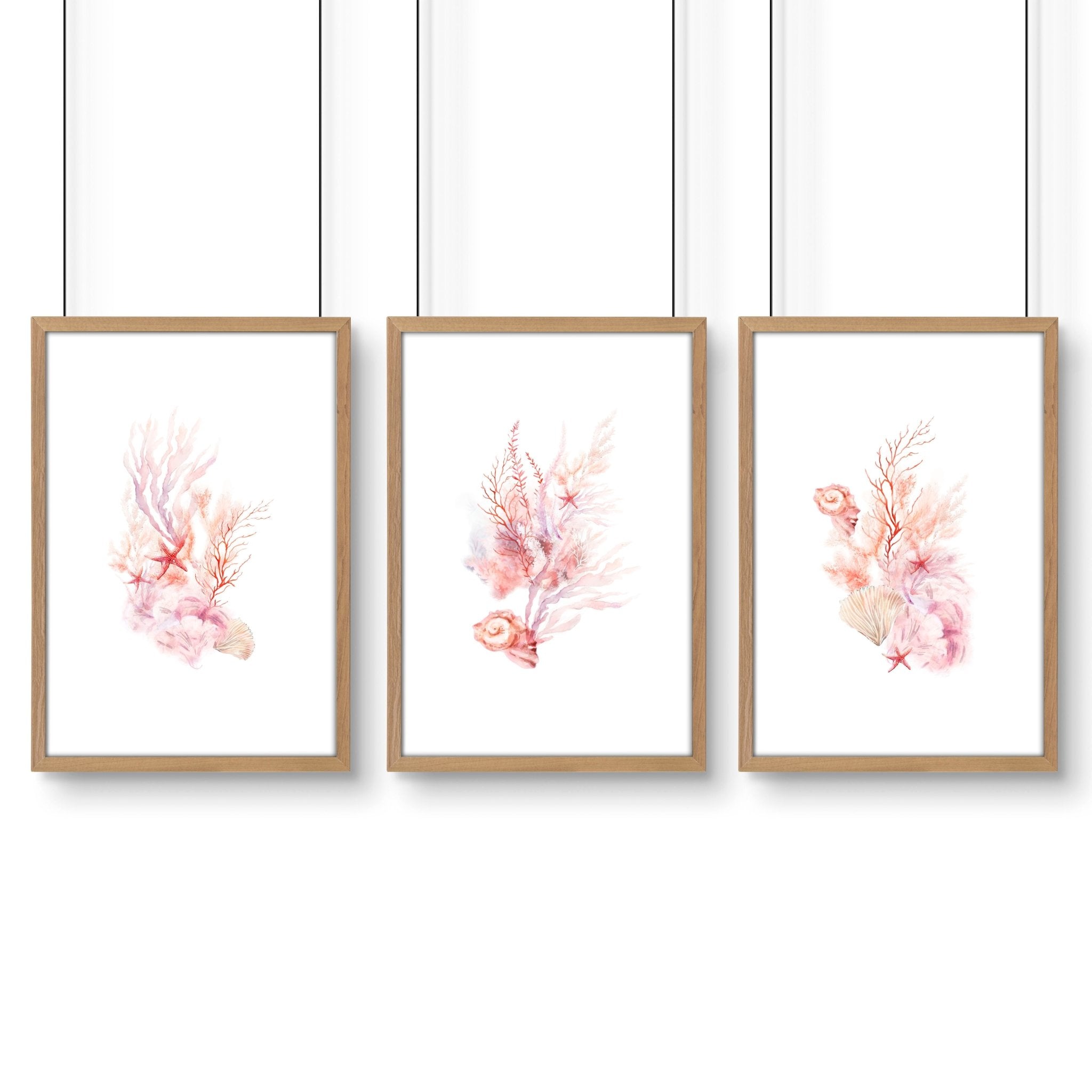 Large Coastal Wall Art | Set of 3 Seashells Wall art Prints