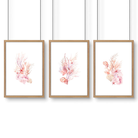 Large Coastal Wall Art | Set of 3 Seashells Wall art Prints