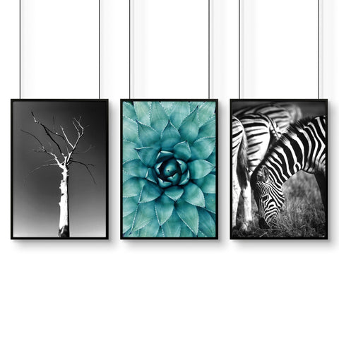 Large Picture Living Room | Set of 3 African Wildlife Wall art Prints
