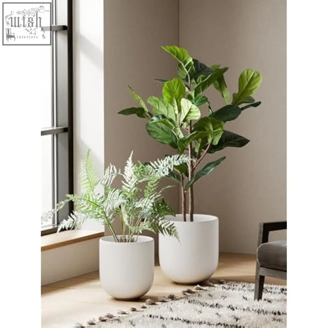 White ceramic plant pot with drainage holes holding a lush fiddle-leaf fig plant perfect for indoor use