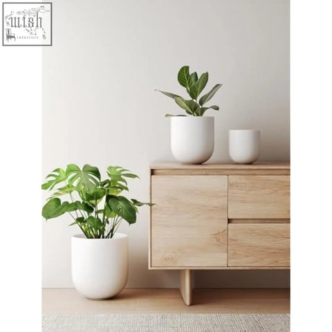 White ceramic plant pot with drainage holes holding a lush monstera plant perfect for indoor use