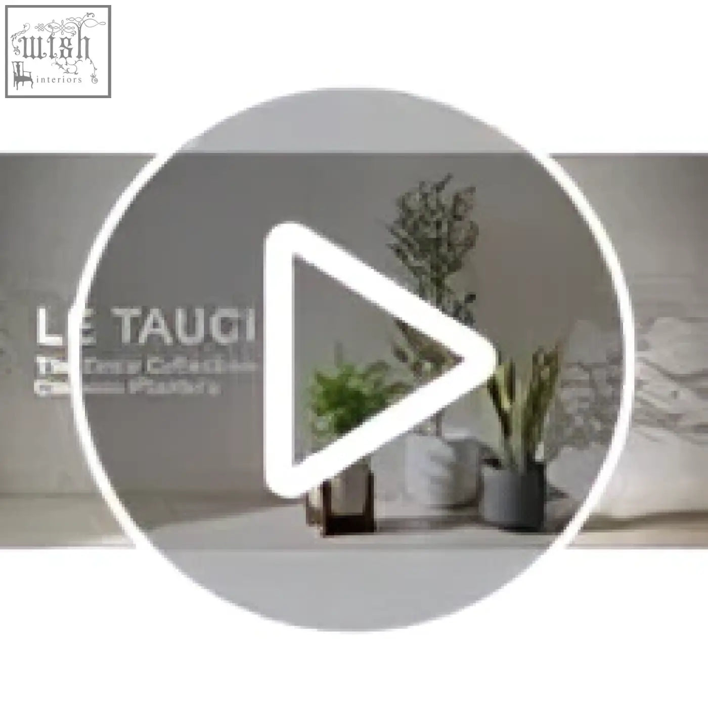 Modern minimalist white ceramic plant pot with drainage holes holding tall green plants for indoor use