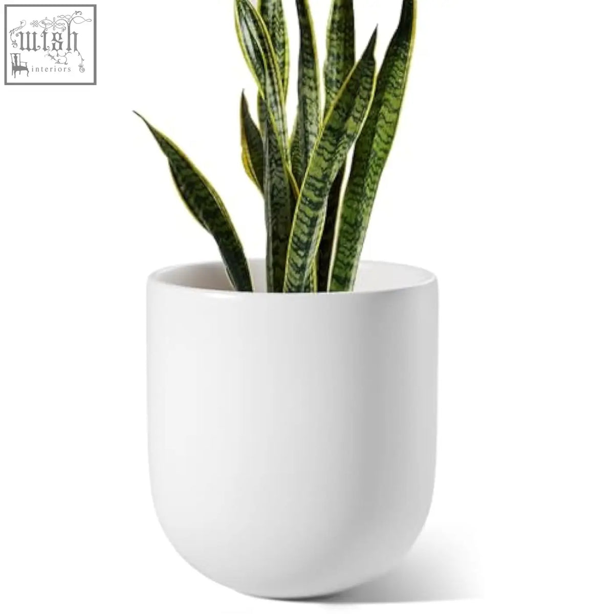 White ceramic plant pot with drainage holes holding a snake plant perfect for plant pots indoor or outdoor use