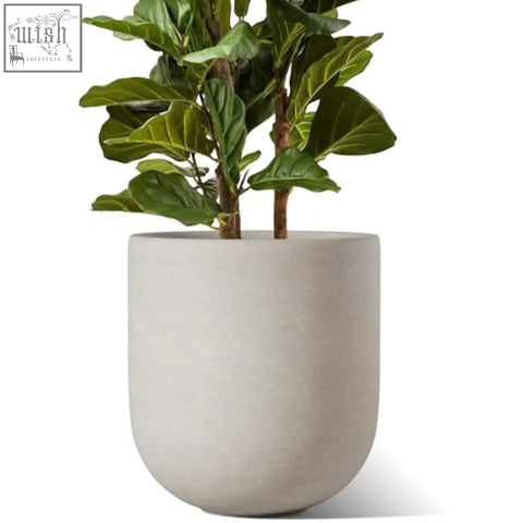 A sleek grey ceramic plant pot with drainage holes holds two fiddle-leaf figs perfect for indoor plants and large planters