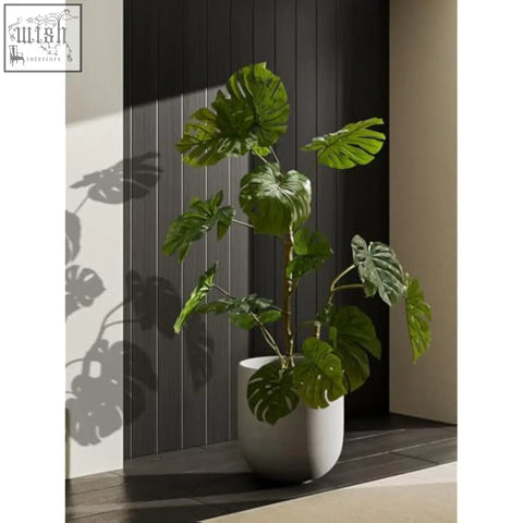 A large green monstera plant in a sleek white ceramic plant pot perfect for indoor plants and large planters