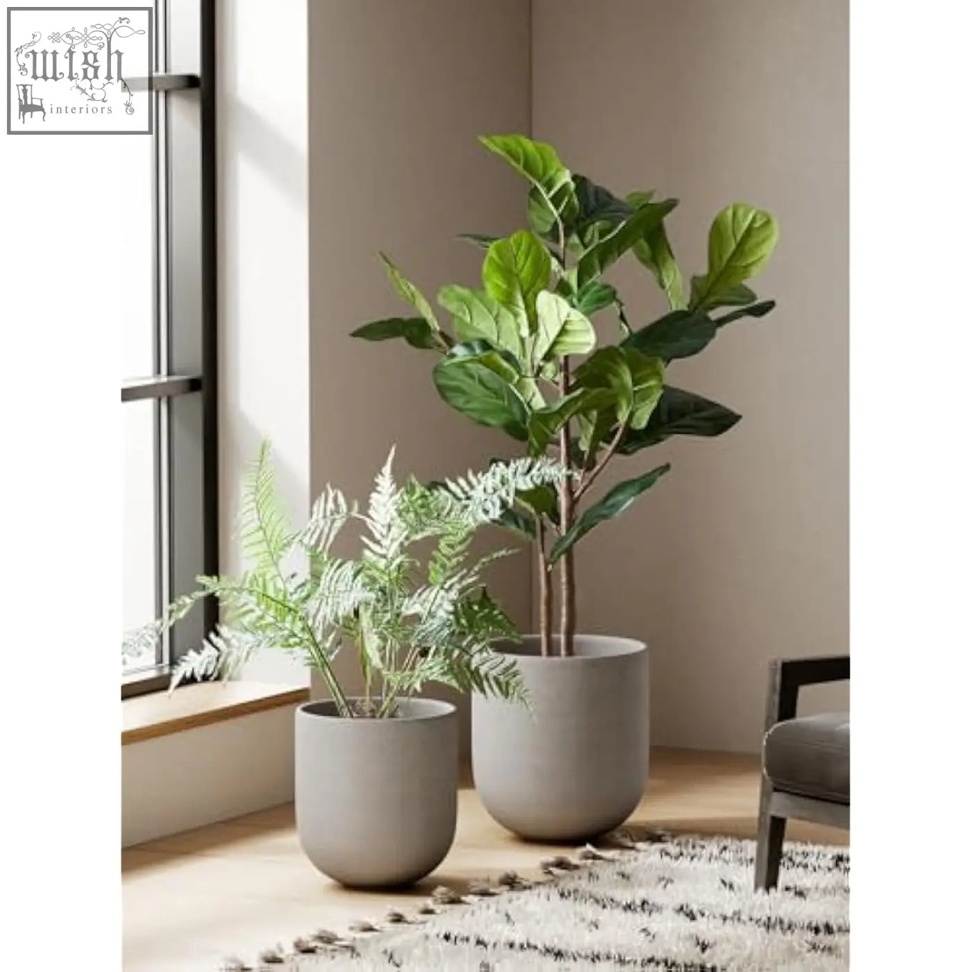 Tall fiddle-leaf fig in a grey ceramic plant pot with drainage holes perfect for indoor plants and large planters