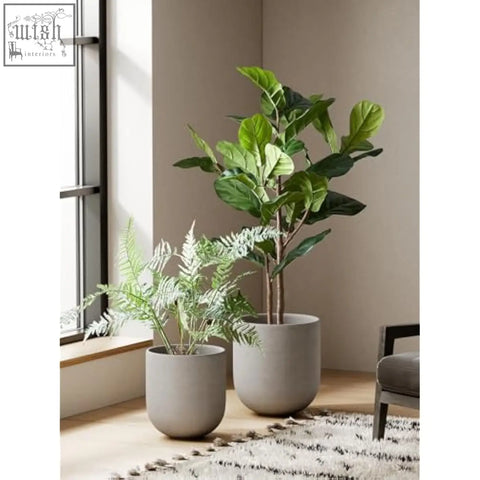 Tall fiddle-leaf fig in a grey ceramic plant pot with drainage holes perfect for indoor plants and large planters