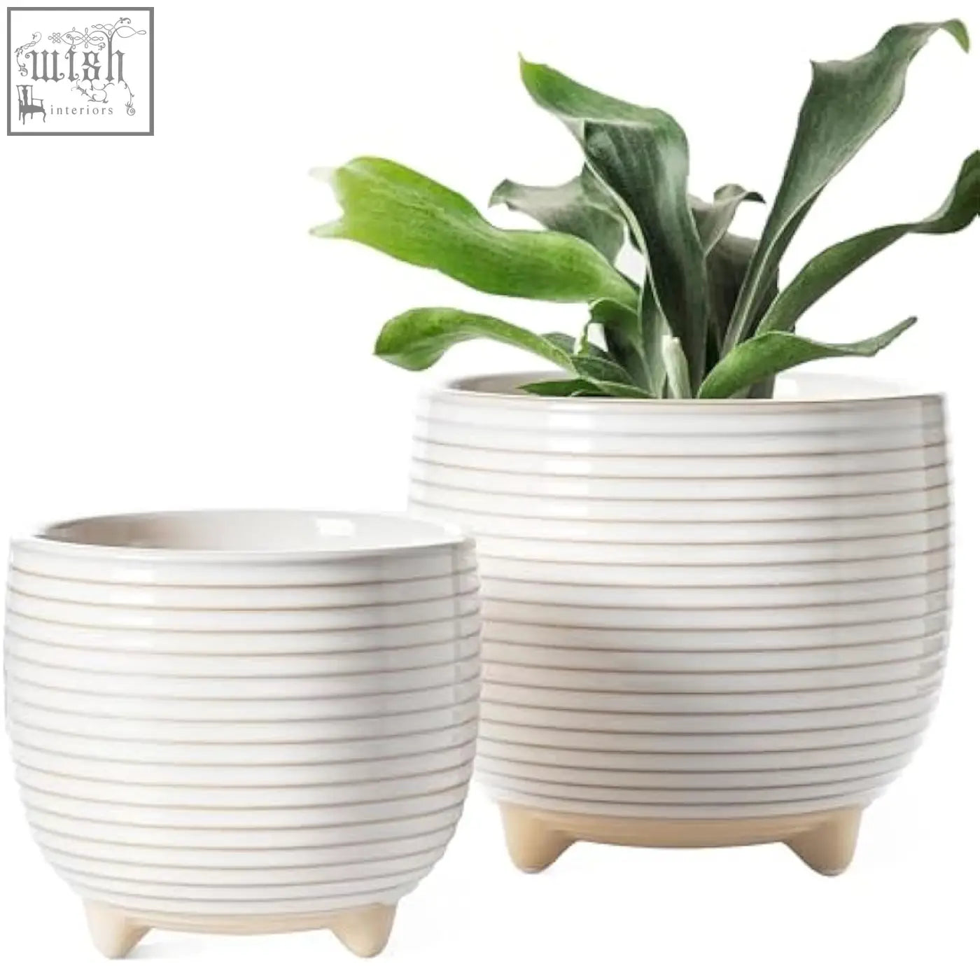 Cream-colored ceramic plant pots with horizontal ridges and three-legged bases perfect for indoor use