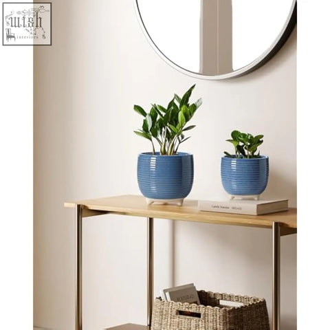 Two blue ceramic plant pots with vertical ribs hold leafy plants featuring footed design and silicon plug drainage