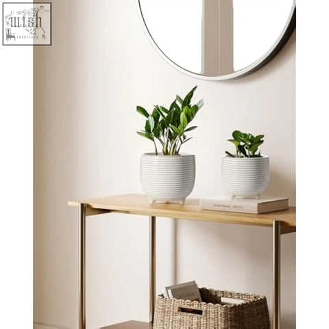Two white ribbed ceramic plant pots with drainage holding green leafy plants for indoor use by le tauci