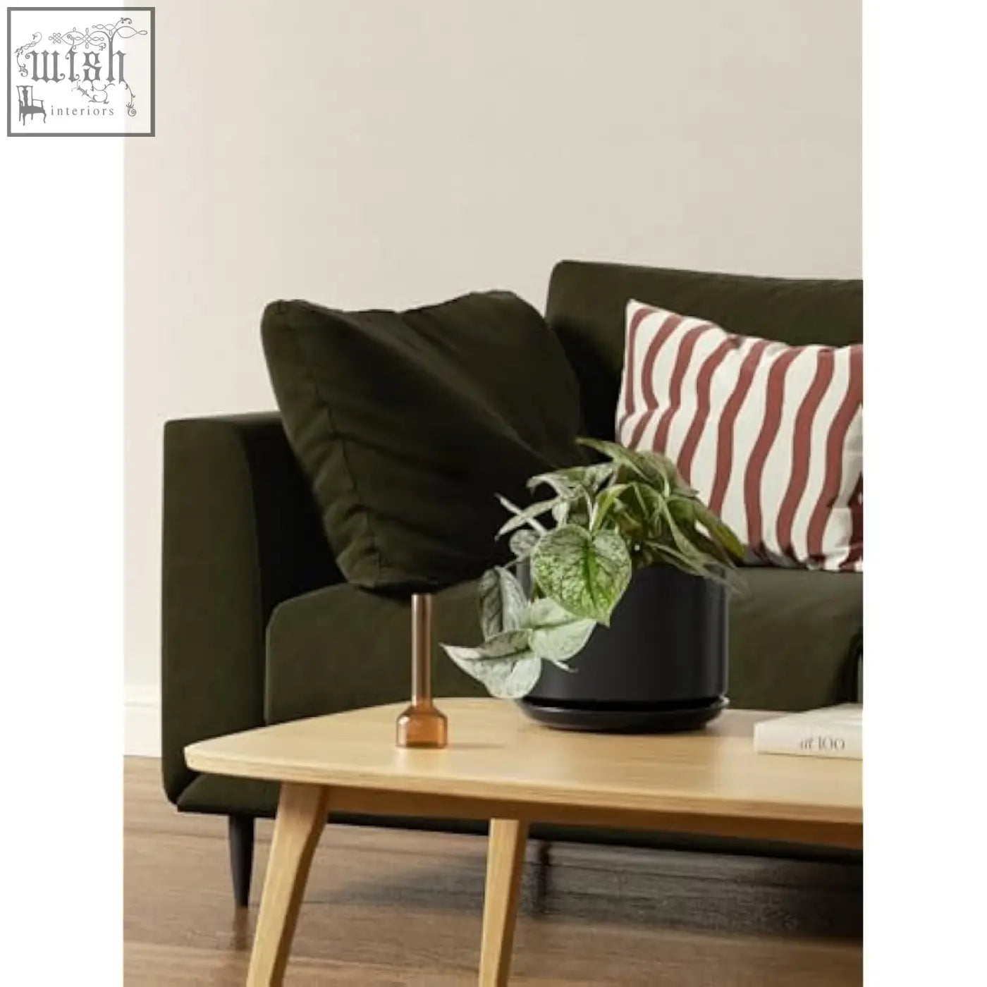 Black ceramic planter with glossy finish holding a green leafy plant featuring mesh pad in le tauci ceramic pots set