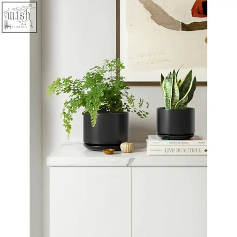 Two sleek black ceramic planters with mesh pads holding a fern and striped snake plant perfect indoor ceramic pots