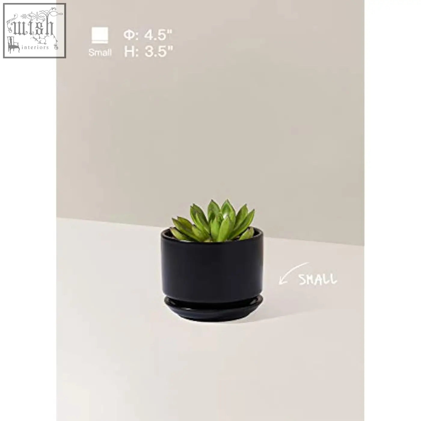 Black ceramic planter with matching saucer holding a green succulent featuring mesh pad and drainage hole ceramic pots