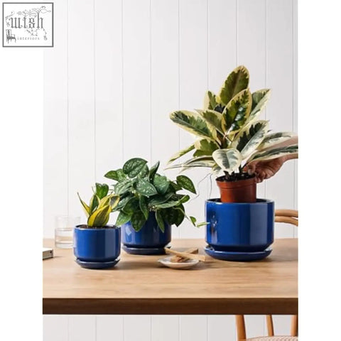Vibrant sapphire blue ceramic planters set of 3 with drainage holes and matching saucers holding leafy green plants