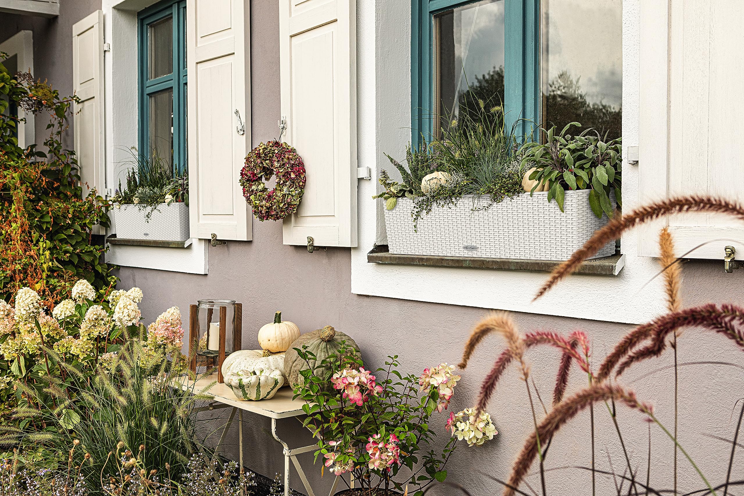 White woven lechuza balconera cottage watering planter plastic indoor with greenery and small pumpkins in window box