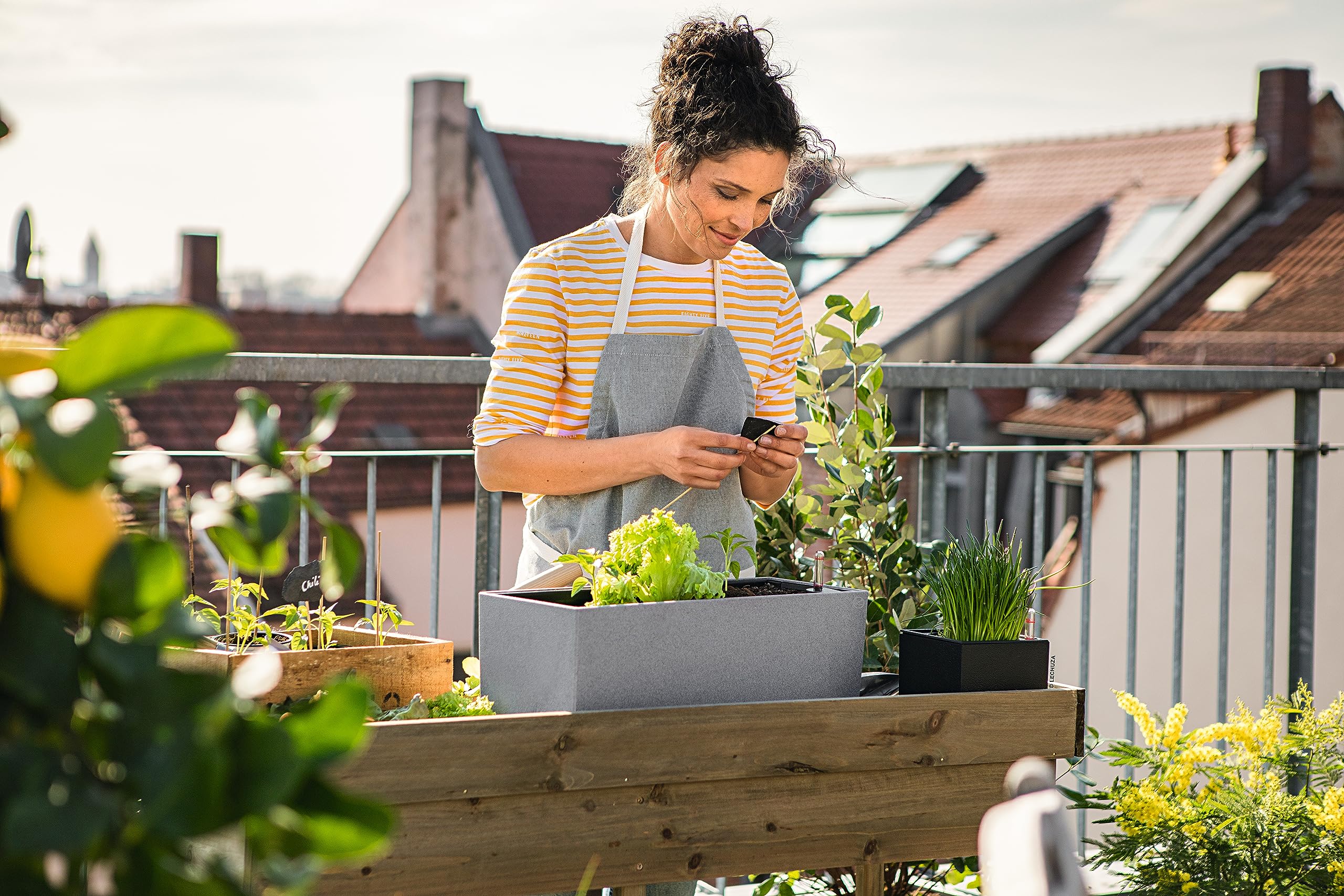 Gray lechuza balconera stone watering planter plastic with green plants for indoor and outdoor use with drainage hole