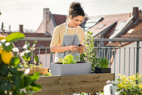 Gray lechuza balconera stone watering planter plastic with green plants for indoor and outdoor use with drainage hole