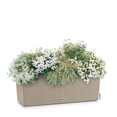 Beige textured lechuza balconera stone watering planter plastic with water level indicator and white flowers and green grasses