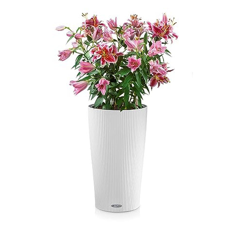 A tall white lechuza cilindro color plastic planter with water level indicator holding pink lilies and green foliage