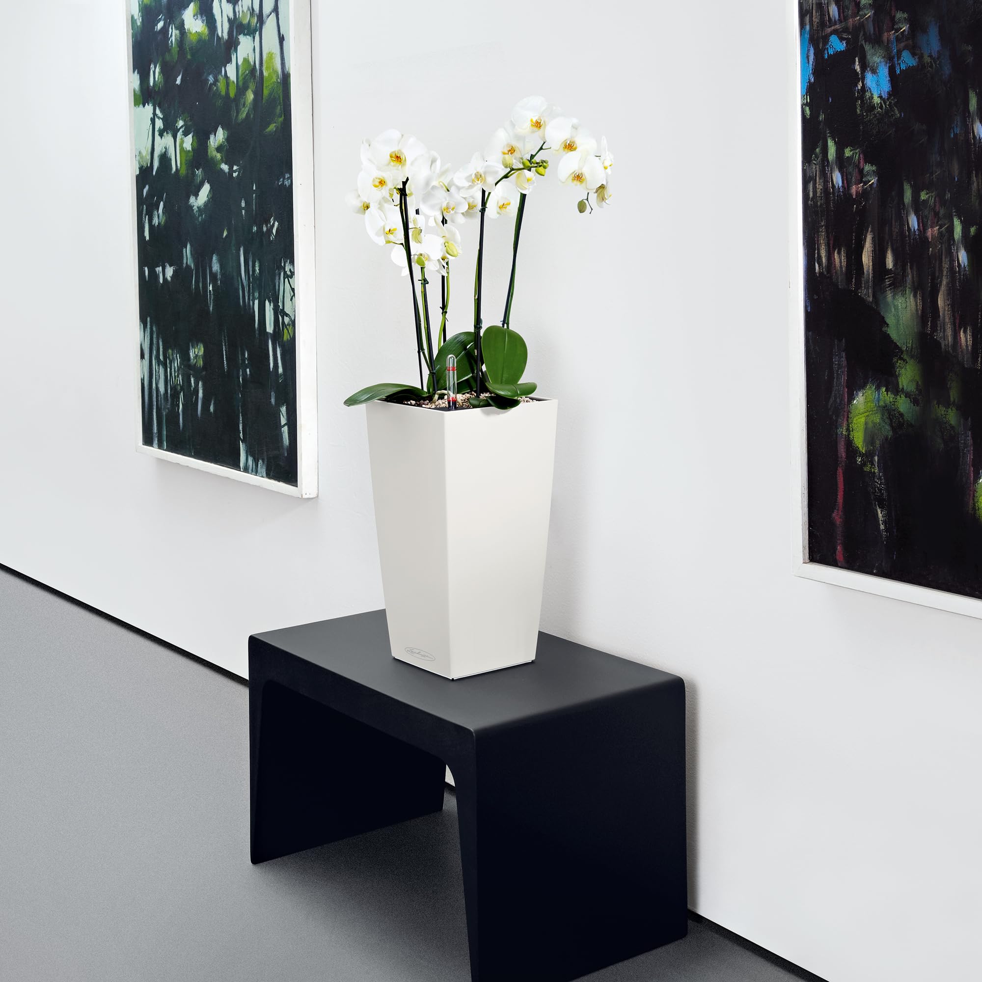 White lechuza cubico color self watering planter with water level indicator holding white orchids and green leaves