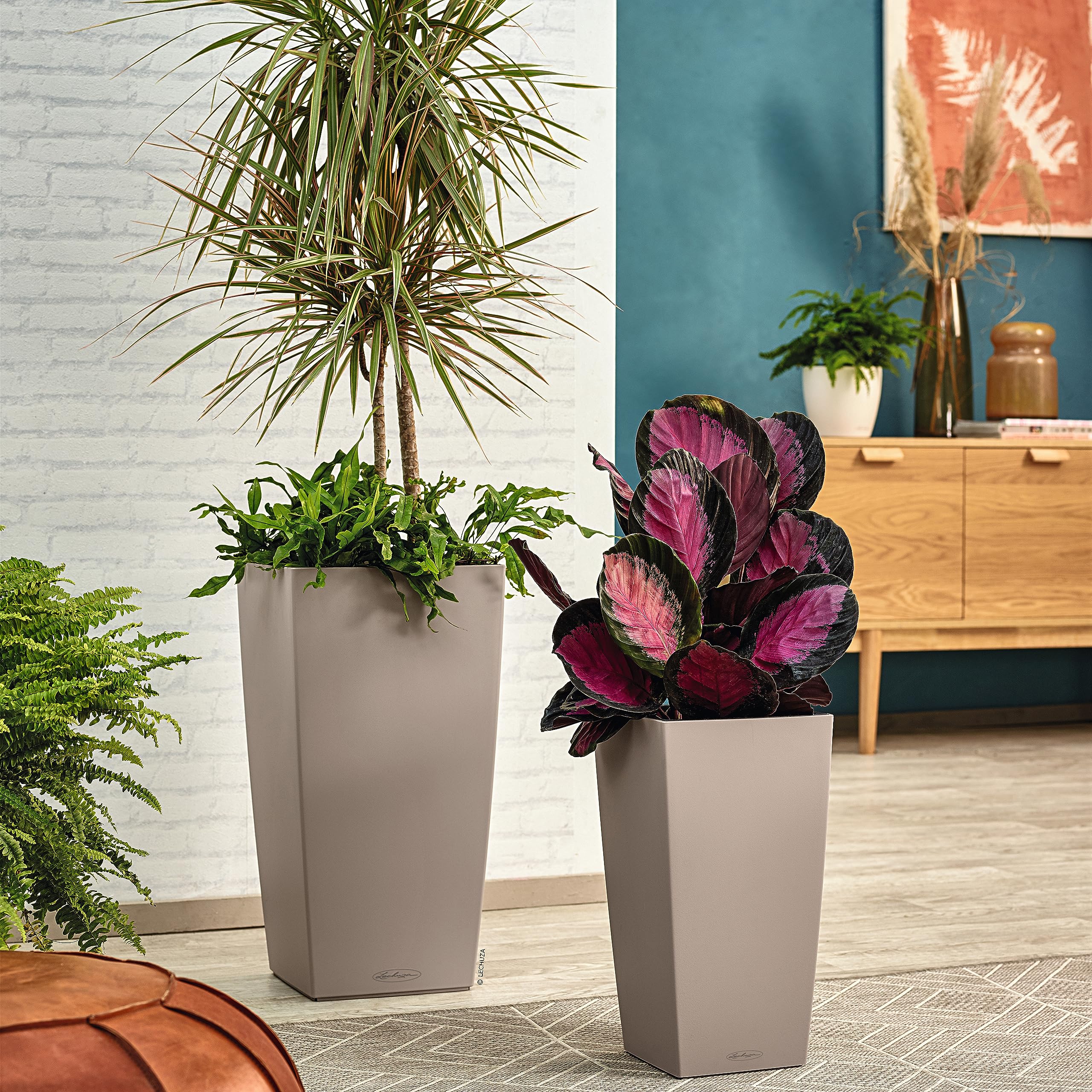 Two sleek matte gray lechuza cubico color 22 self watering plastic plant pots with water reservoir and drainage holes