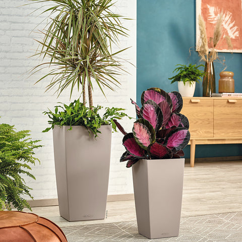 Two sleek matte gray lechuza cubico color 22 self watering plastic plant pots with water reservoir and drainage holes