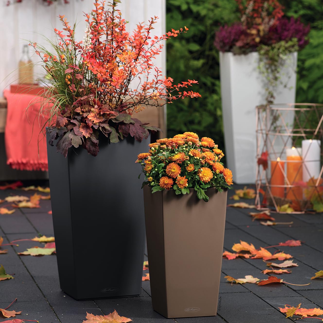 Two lechuza cubico color 30 self watering planters in matte black and warm taupe with vibrant autumn foliage and water level indicator