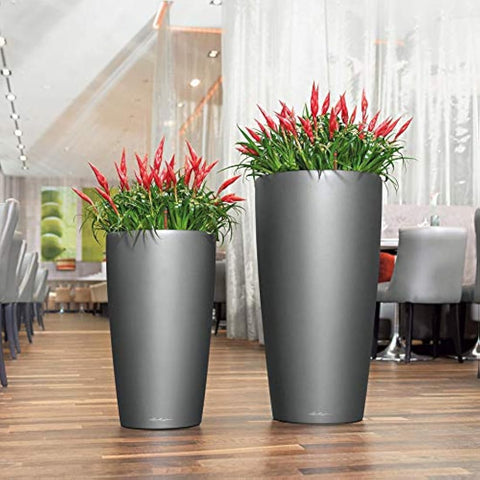 Two sleek matte gray high-quality lacquered lechuza rondo 32 self watering planters with red green flowering plants