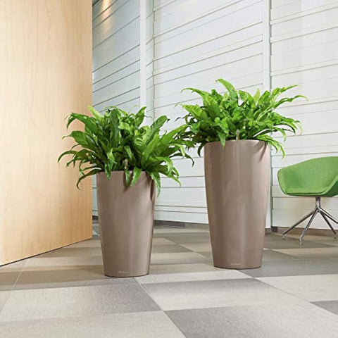 Tall sleek taupe lechuza rondo 32 planter with high-quality lacquered matte finish and lush green ferns indoors and outdoors
