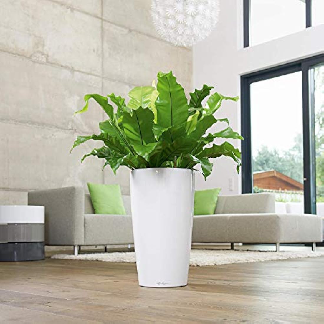 A sleek white high gloss lechuza rondo 32 self watering planter with drainage hole holding lush green ferns