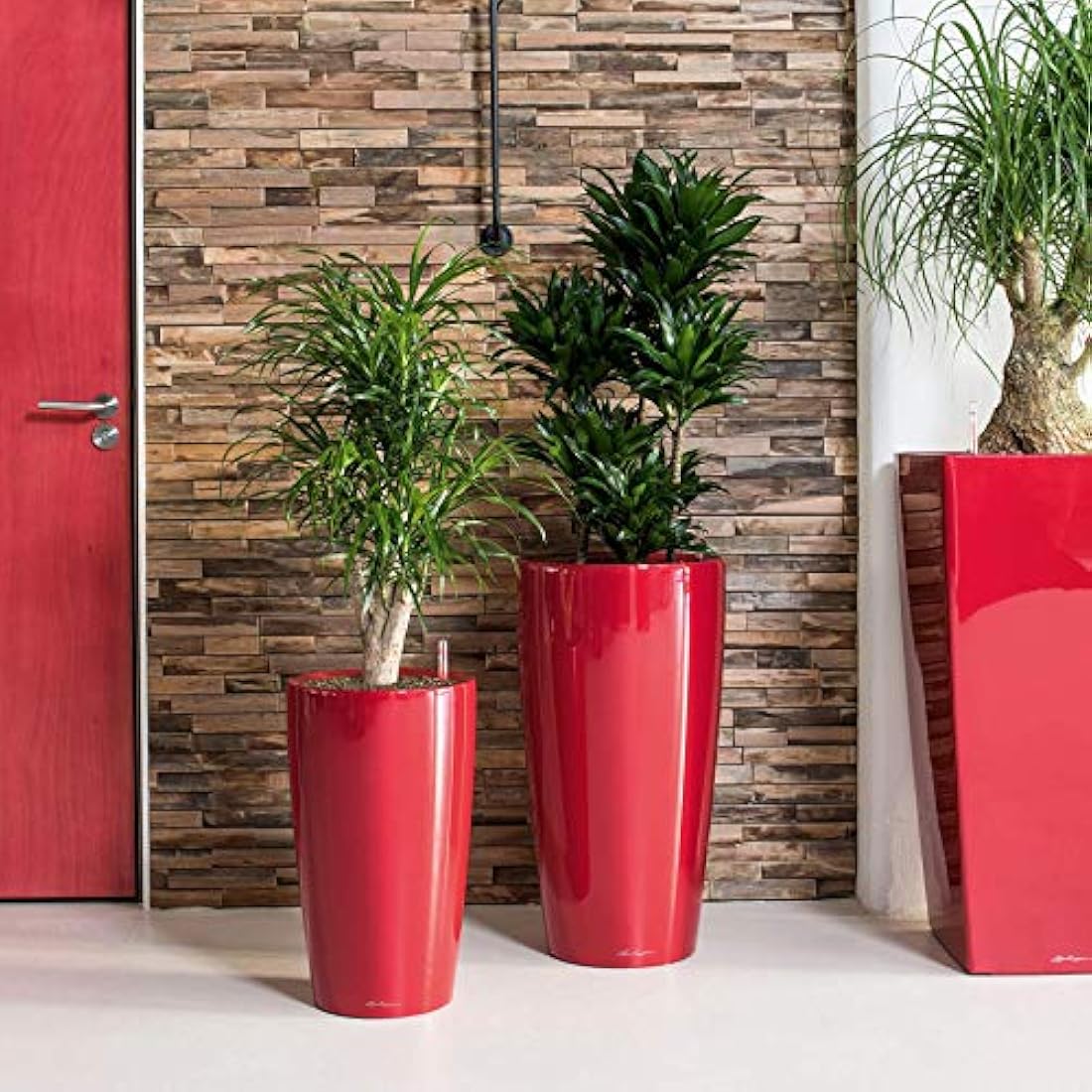 Three vibrant red high-quality lacquered lechuza rondo 32 self watering planters with lush green plants outdoors